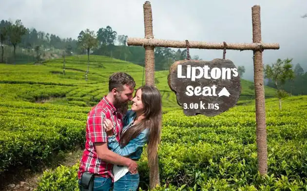 Lipton's Seat